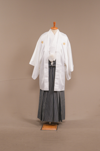 白藤白葵/紺縞袴