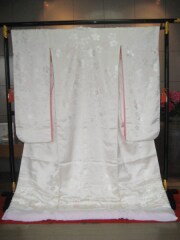 ピンクフキ　桜