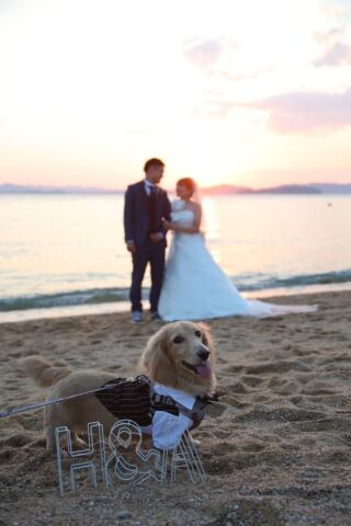 Bridal ISHIKAWA_海・山フォト