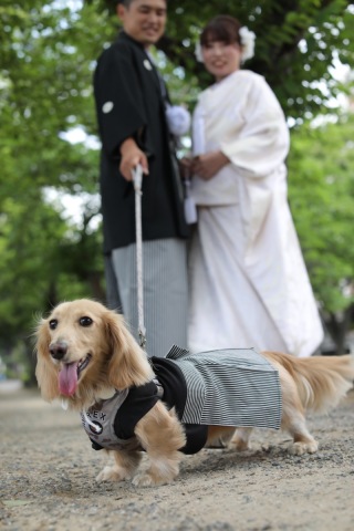 Bridal ISHIKAWA_後楽園