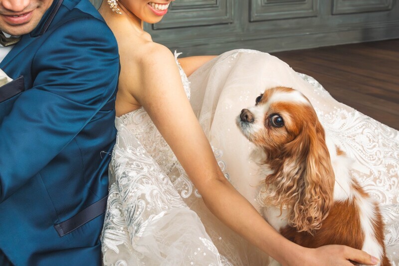 ワンちゃんも二人と過ごすウエディングに大満足!