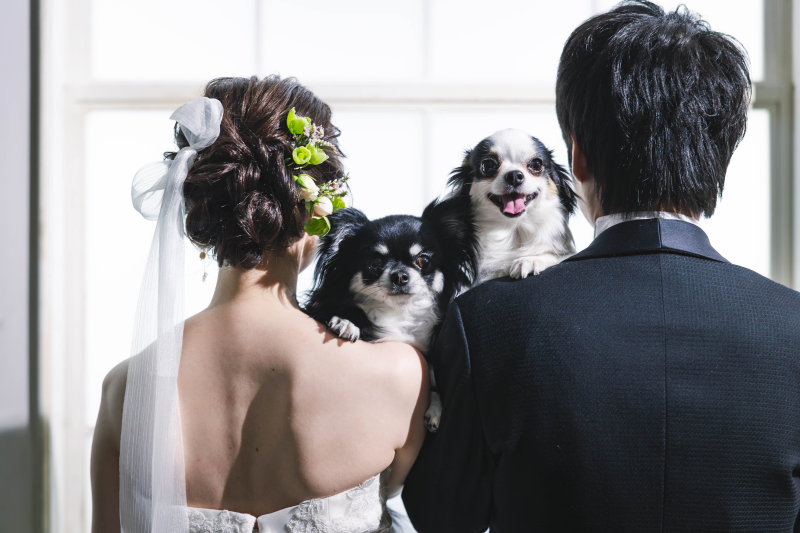 20以上ある撮影シーン