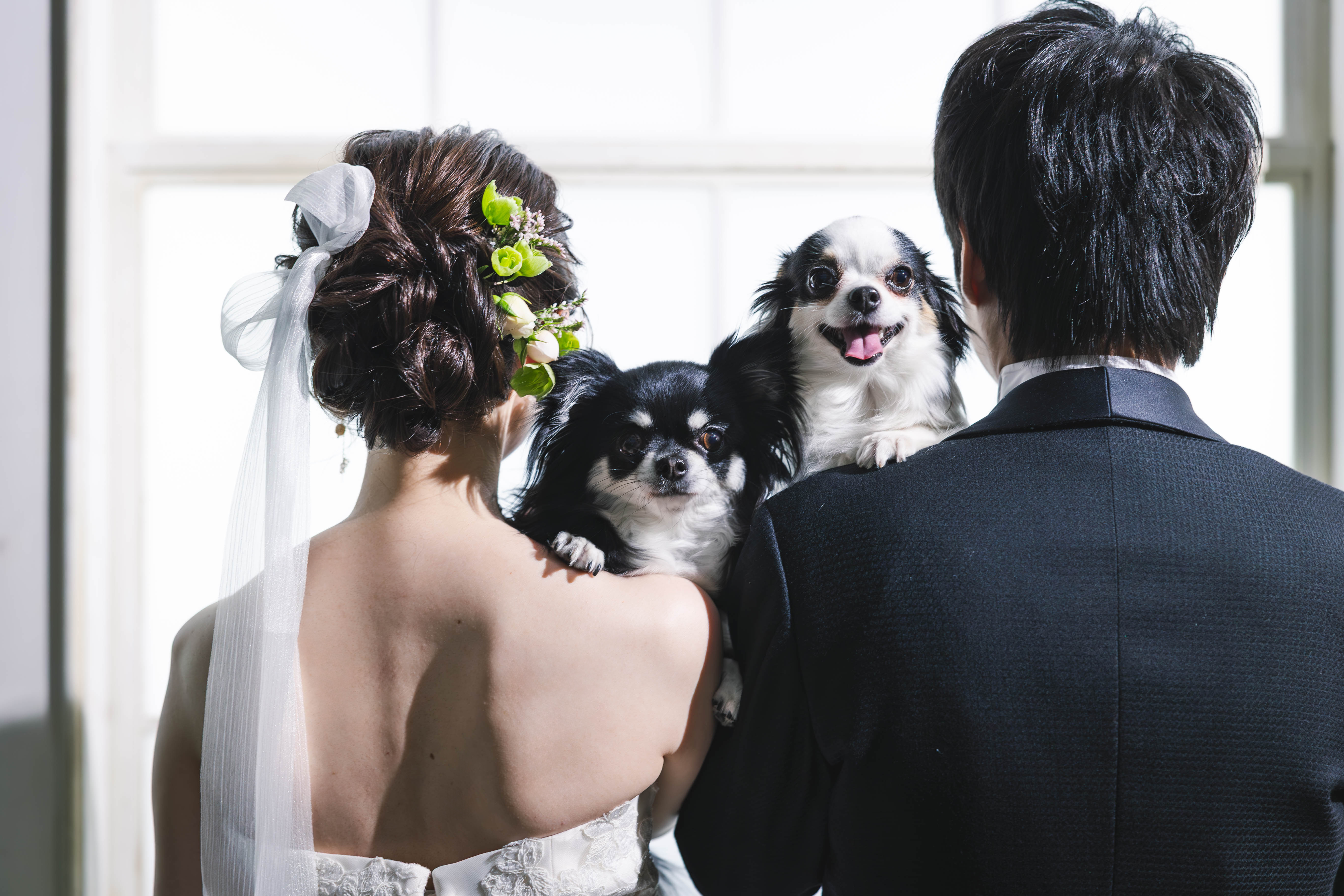 20以上ある撮影シーン