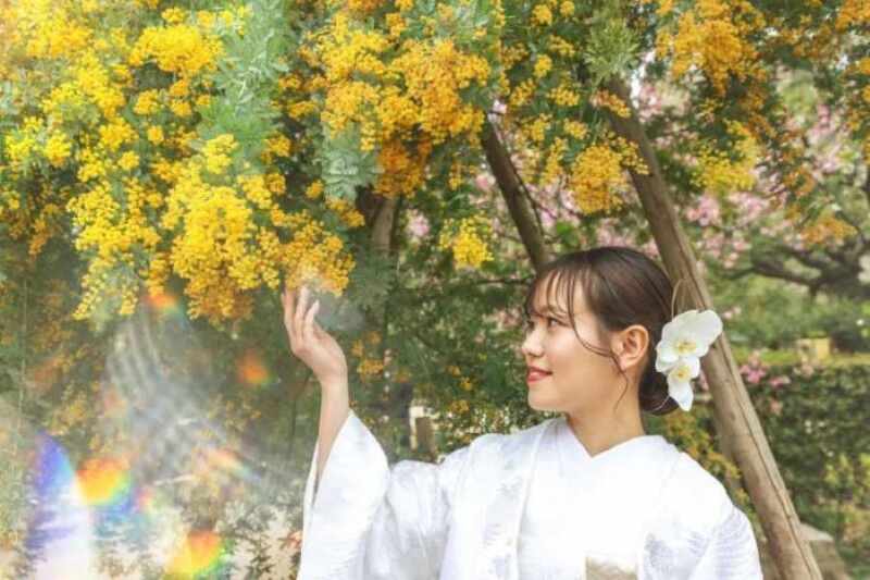 ノーブルジャパン広島_ロケーション撮影