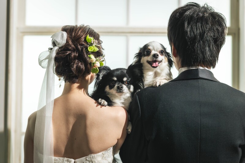 ペットと一緒に撮影プラン