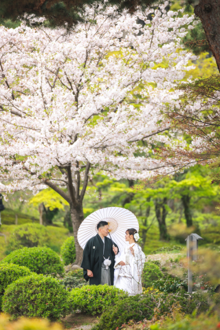 【緊急募集】桜撮影、まだ間に合います！