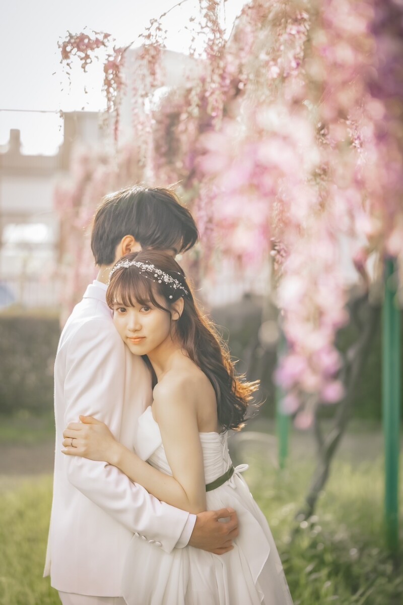 【桜の次は、藤の魔法にかかる。誰もが息をのむ、圧倒的な美しさ】