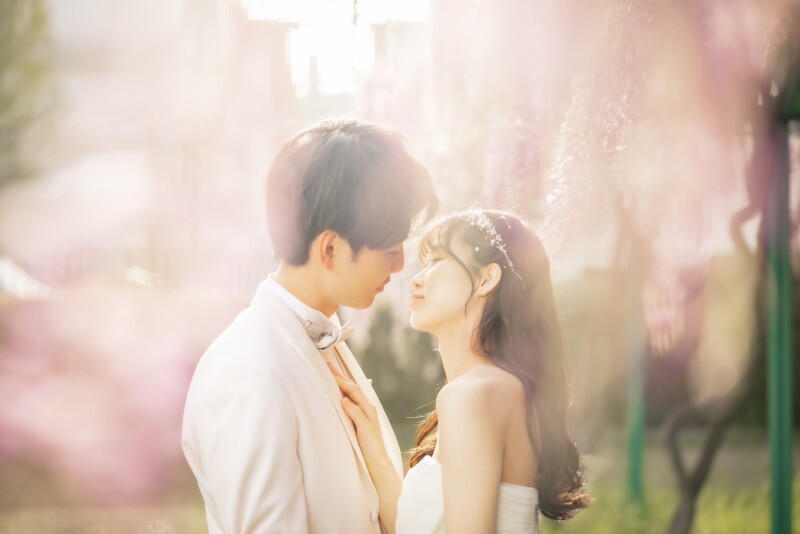 【桜の次は、藤の魔法にかかる。誰もが息をのむ、圧倒的な美しさ】