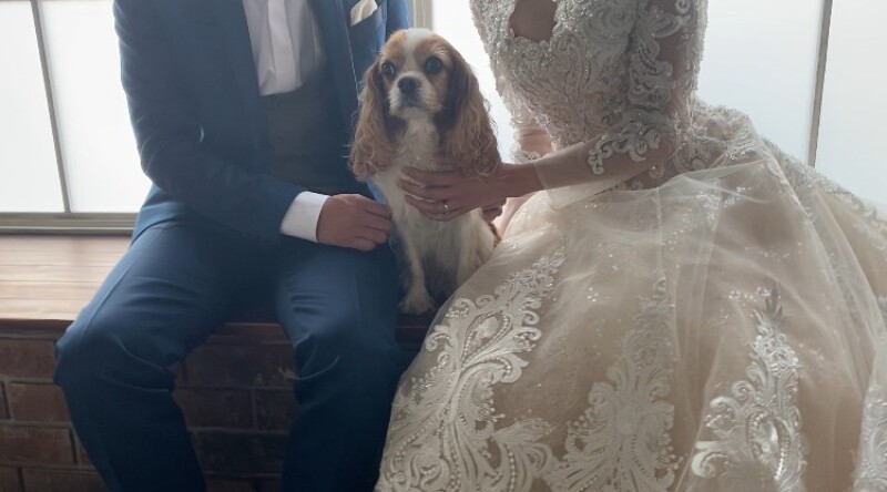 ペットと一緒に撮影プラン