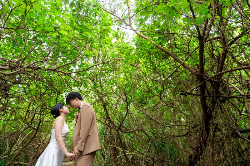 グリーンバックでの撮影も