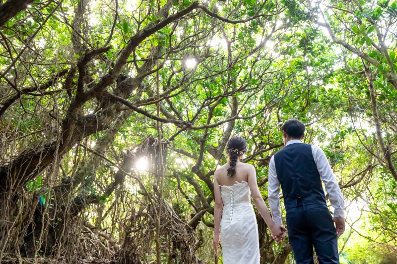 大自然を満喫できるグリーンフォト