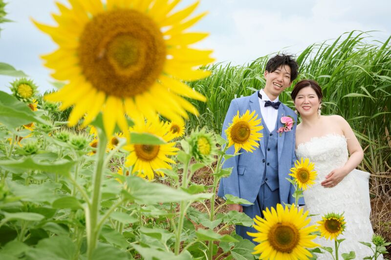ひまわりに囲まれて夏らしく