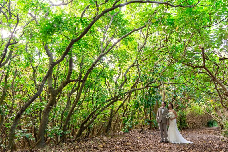 グリーンバック