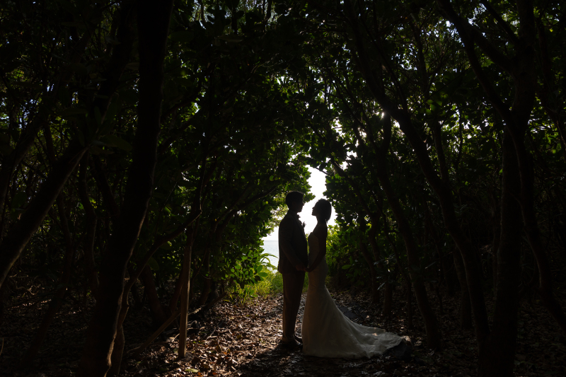 森の中で叶える幻想的な1枚