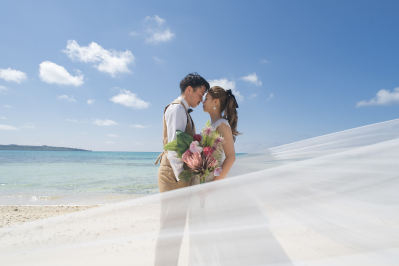 ベールを使った撮影も