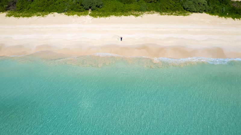 写真だけでなくムービーも