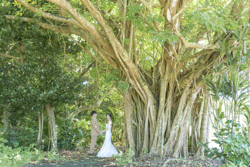 20以上ある撮影シーン