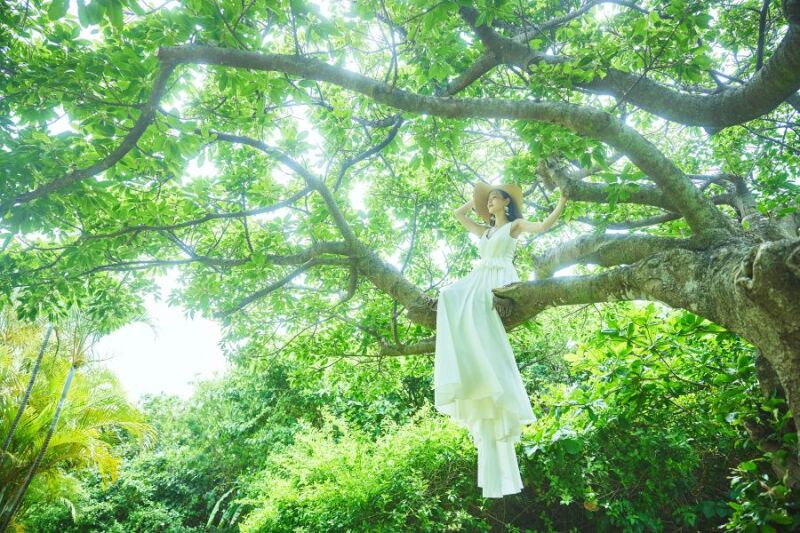 グリーンにも映えるドレス