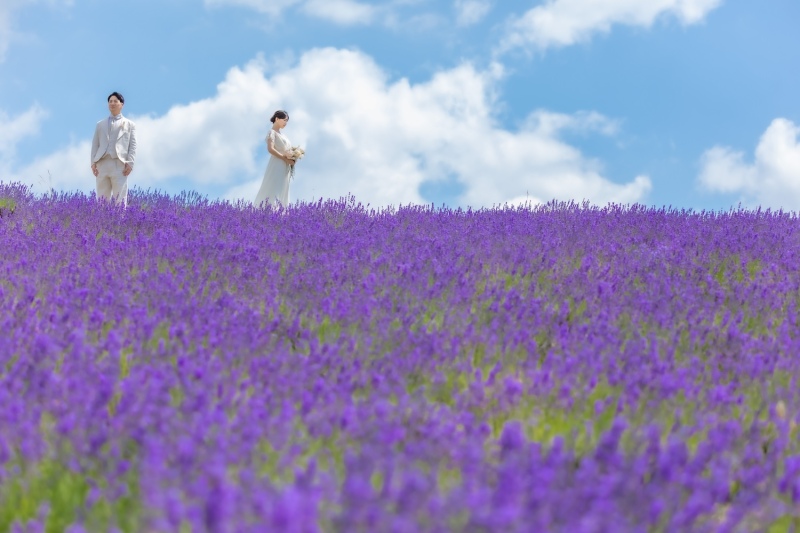 北海道の夏を感じるラベンダーフォト