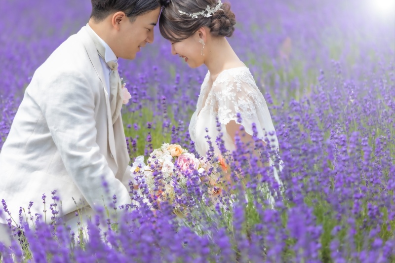 満開のラベンダーと