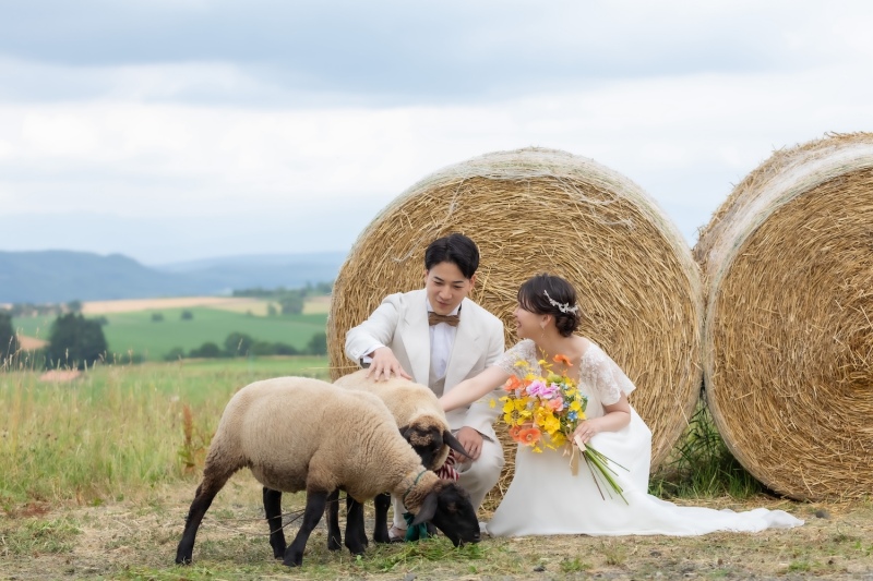 動物と触れ合える?!