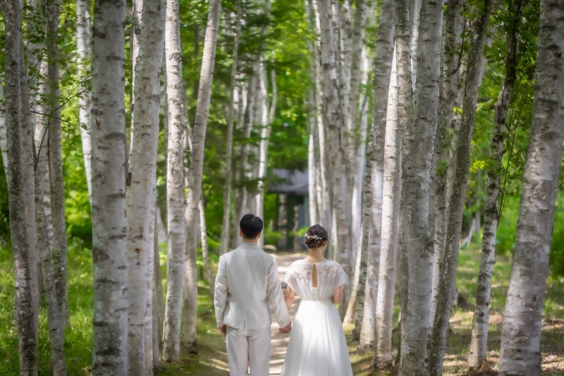 北海道らしい白樺回廊で