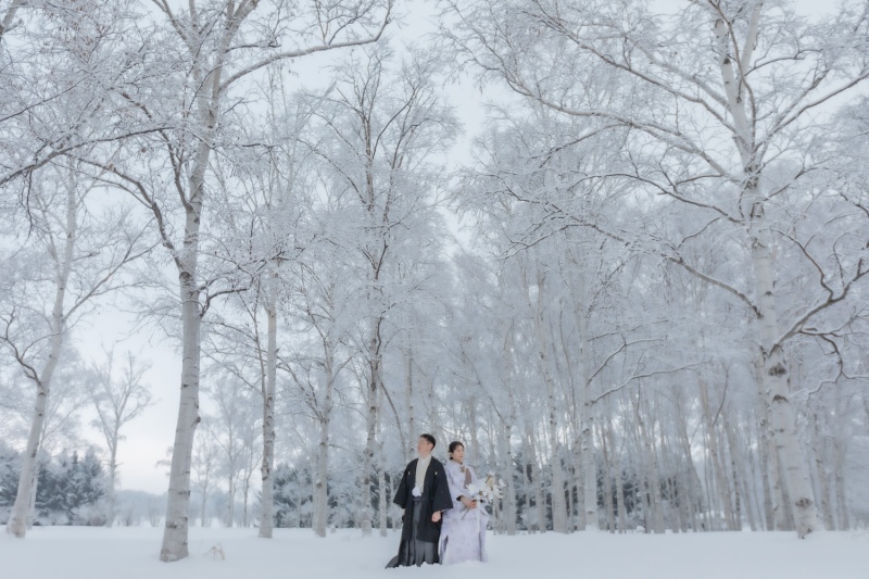 THE picture Sapporo