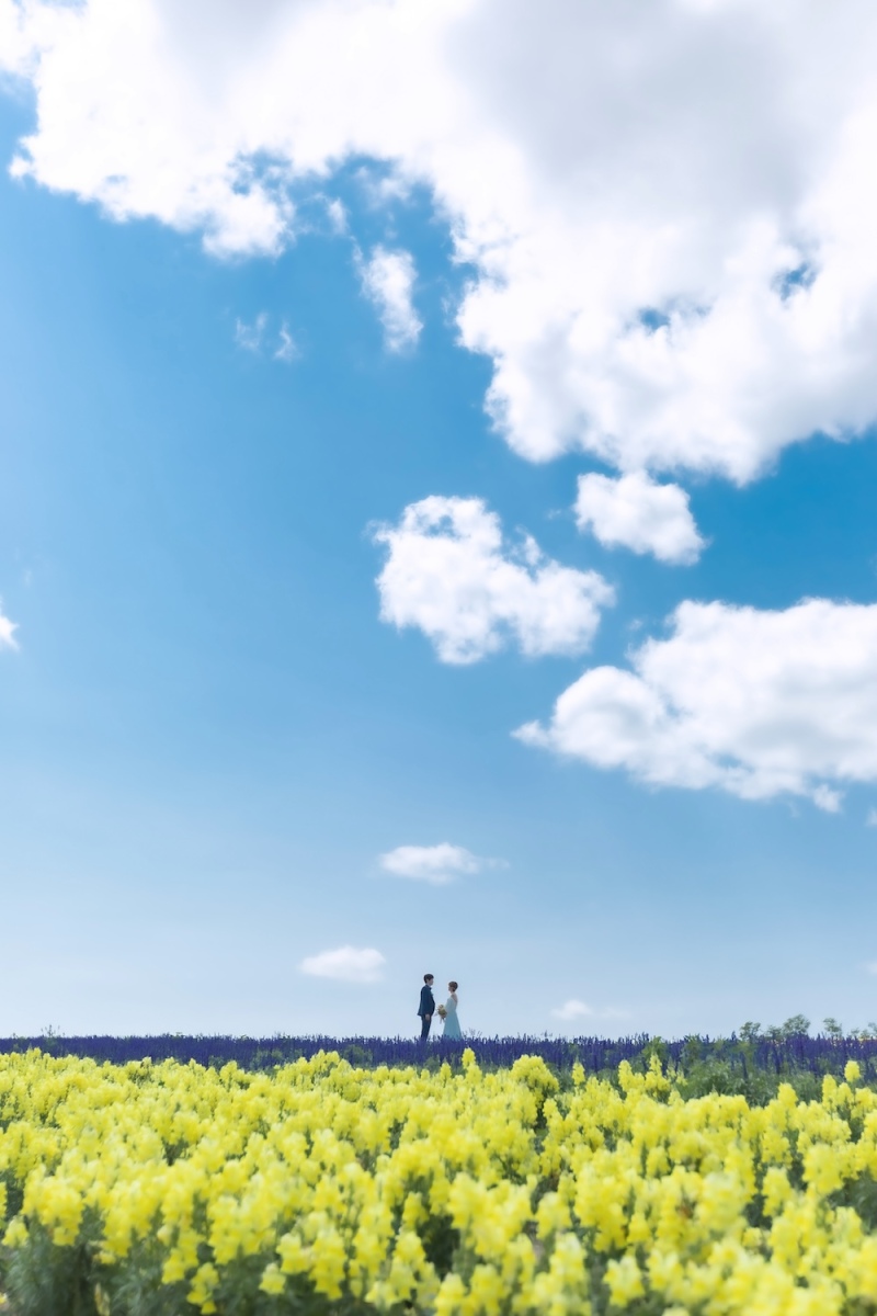 四季彩る北海道のロケフォト#2