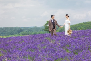 THE picture Sapporo_ロケーションフォト｜美瑛 富良野