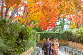 THE picture Sapporo_ロケーションフォト｜秋
