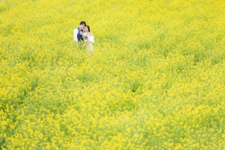 THE picture Sapporo_ロケーションフォト｜美瑛 富良野
