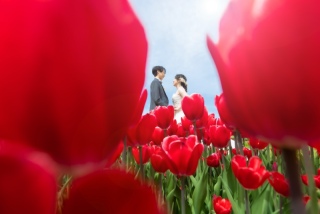 THE picture Sapporo_ロケーションフォト｜春