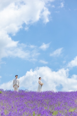 THE picture Sapporo_|pickup photo