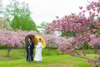 THE picture Sapporo_ロケーションフォト｜春