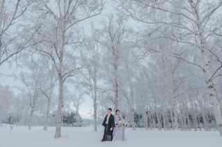 THE picture Sapporo_|pickup photo