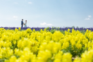 THE picture Sapporo_ロケーションフォト｜美瑛 富良野