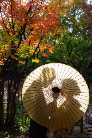 THE picture Sapporo_ロケーションフォト｜秋