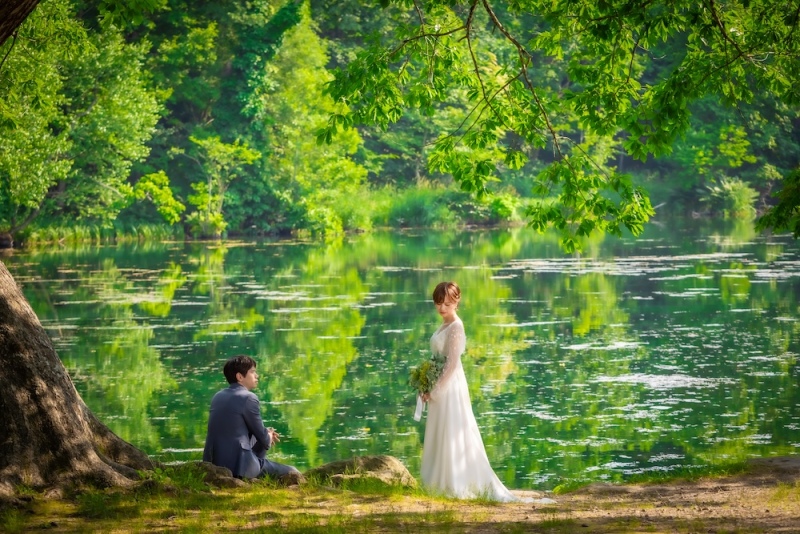 【旅フォト】美瑛・富良野 超早割り10%OFFプラン