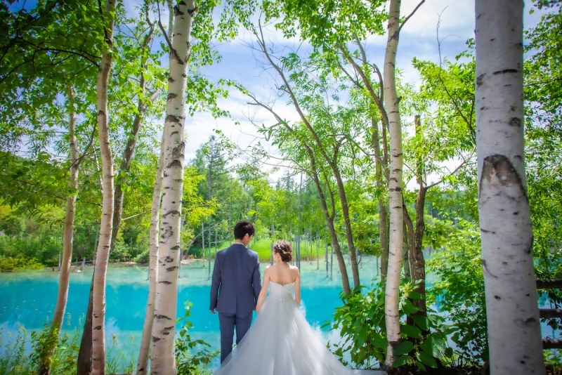 【旅フォト】美瑛・富良野 超早割り10%OFFプラン