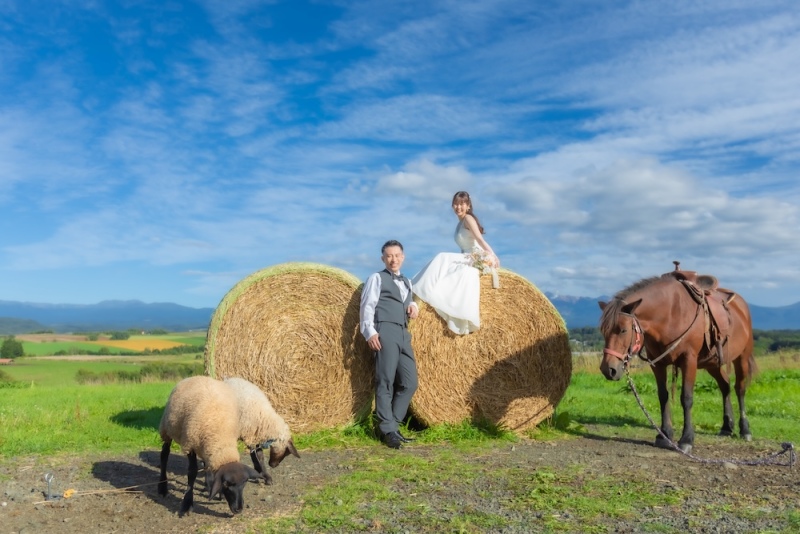 【旅フォト】美瑛・富良野 超早割り10%OFFプラン