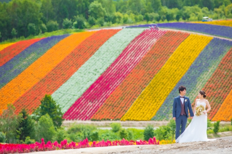 【旅フォト】美瑛・富良野 超早割り10%OFFプラン