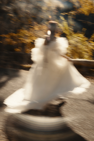 LES AILES_2024年12月ショートバージョン