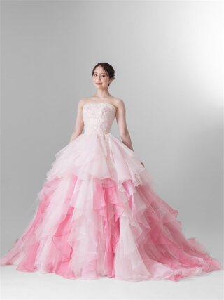 Pinkgarbera ﾋﾟﾝｸｶﾞｰﾍﾞﾗ