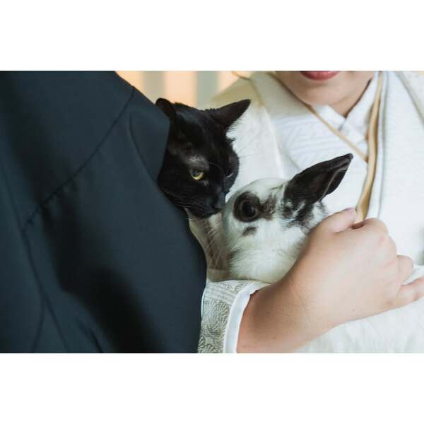 小さな結婚式 沖縄那覇店_ペットと一緒に撮影できる