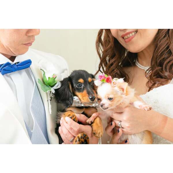 ペット同伴OK!犬・猫・うさぎ・小動物も歓迎