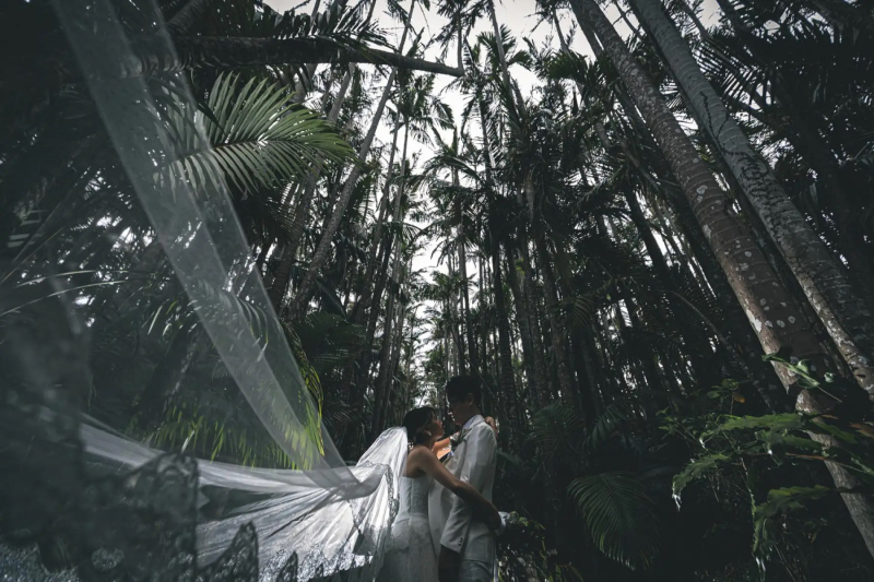 生きる写真... ハートのある写真。