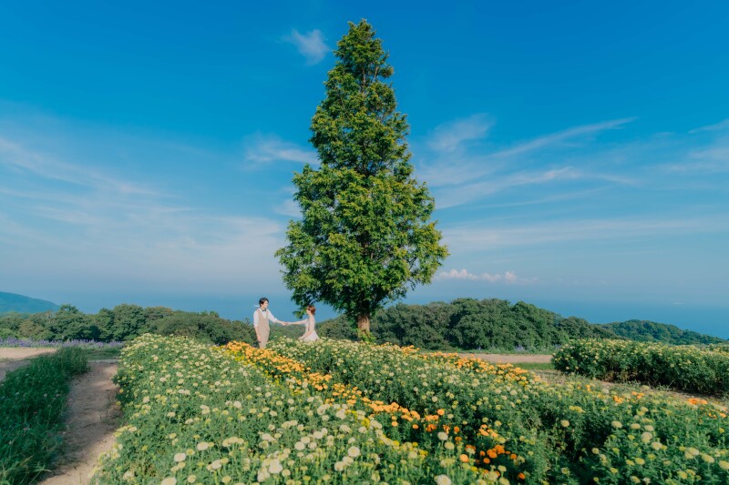 友達やご家族、普段お世話になっている方と一緒に