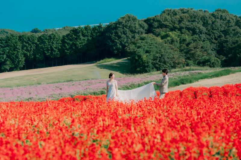 BEREL 神戸_動画を作れる