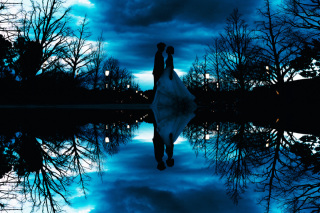 幻想的なカットを