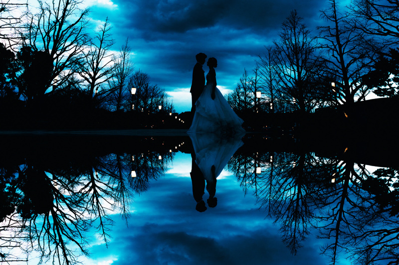 幻想的なカットを